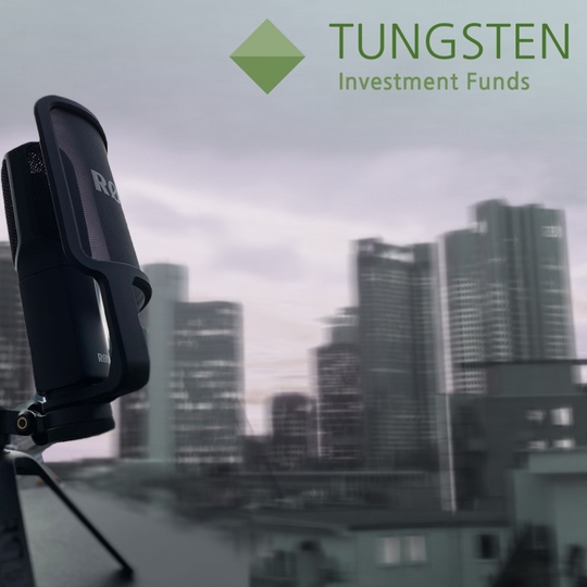 Lutz Klaus Der „VIX“ viel mehr als nur der RisikoSeismograph des Kapitalmarktes Tungsten